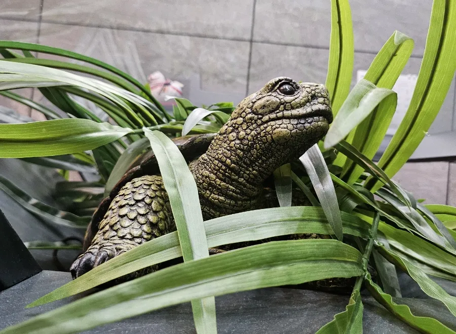 オフィスの緑の中に置かれたリアルな亀の置物